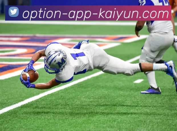 开云平台生态图